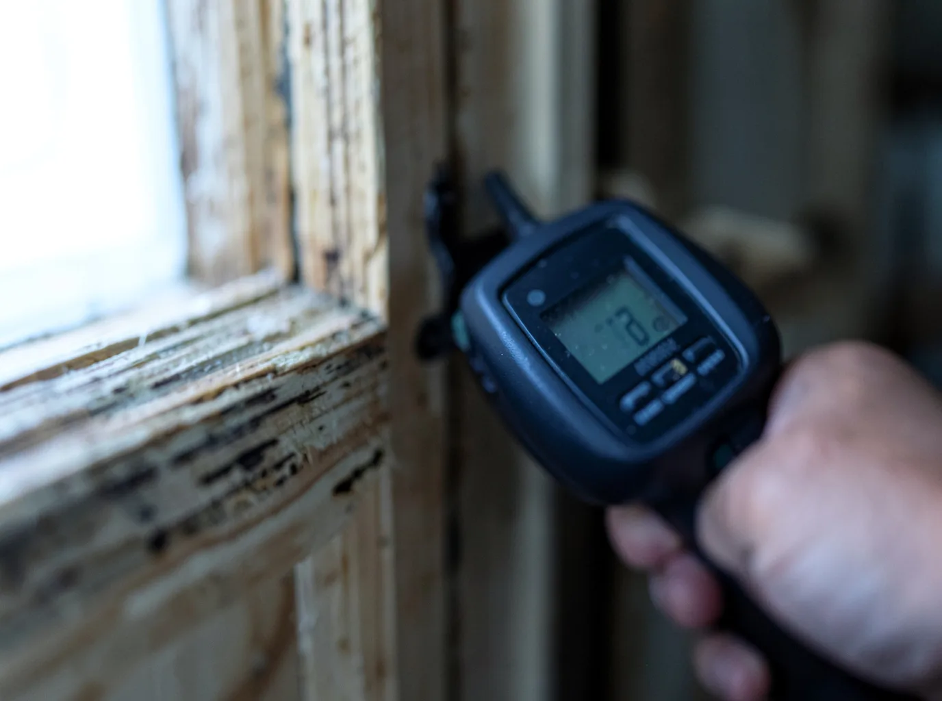 Commercial Water Damage Restoration in Cut Bank, MT